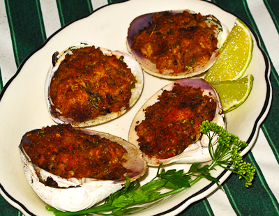 cooked stuffies 400px Stuffies