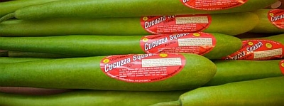 Cucuzza ready for market