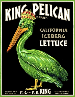 king pelican lettuce crate label Shredded Iceberg Lettuce Salad