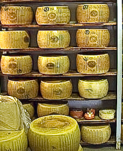 Wheels of Parmigiano