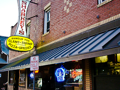 sharkeys 400px Spiedies
